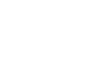 トラウムトレーニング